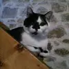 daniellelatour01 - @daniellelatour01 - TikTok