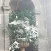 danielleflaux - @danielleflaux - TikTok