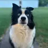 Danielleleann - @danielle.leannnnn - TikTok