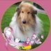 Danielle Leblond - Facebook