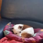 Danielle Lecomte - Facebook