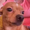 danielleledford1 - @danielleledford1 - TikTok