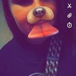 danielleledford - @danielleledford4526 - Instagram