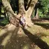 Danielle Lemaire - @daniellelemaire37 - TikTok