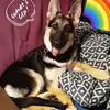 Danielle LeVasseur - @danielle.levasseu0 - TikTok