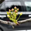 daniellelevy70 - @dtgracious - TikTok