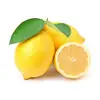 🍋🍋🍋🍋🍋 - @limonadanielle - TikTok