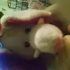 Danielle Lincoln - @banig5 - TikTok