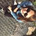 Danielle Lipschitz - Facebook