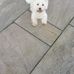 Danielle Littler - Facebook