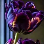 Danielle Smith-Loeffler - @dloeffler0918 - Instagram