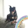 Danielle Lombardi-Ka - @daniellekaratosun - TikTok