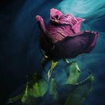 Danielle Maney - @_danielle_lorraine - Instagram