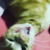 Danielle Lowry - @daniellelowry99 - TikTok