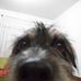 Daniela Ludwig - Facebook
