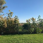 Danielle Taylor Trent Ludwig - @ludwig_family_farm - Instagram