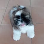 Danièle Marchand - Facebook
