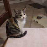 danielle marchand - @marchand7441 - Instagram