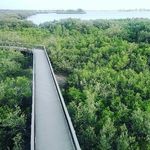 Danielle Marchand - @wandering.ventures - Instagram