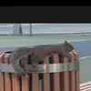Danielle.Maree - @danielle.maree - TikTok