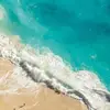 danielle.marlin - @danielle.marlin1 - TikTok