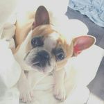 Danielle Martel - @daniemartel17 - Instagram
