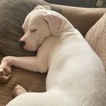 Danielle martel - @lovewinx.ca - Instagram