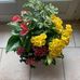 Danielle Mathieu - Facebook
