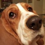 Danielle Mathis - @danniegirl522002 - Instagram