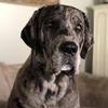 Danielle Matson297 - @heymatson - TikTok