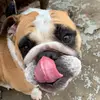 Danielle_may - @danielle_may5674 - TikTok