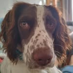 Danielle Mazerat - @daniellemazerat - Instagram