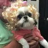 Dani McCloud - @danimccloud1 - TikTok