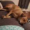 Danielle Mcdaniel - @daniellemcdaniel02 - TikTok