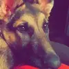 Danielle McKee - @danielle.mckee07 - TikTok