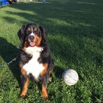 Danielle McMaster - @dmcmaster27 - Instagram