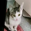 Danielle Mercier - @danielle.mercier84 - TikTok