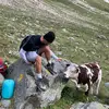 daniele messineo - @danielemessineo_ - TikTok