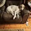 Danielle Meszaros - @danmesz21 - TikTok