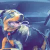 Danielle Meyer - @daniellemeyer00 - TikTok
