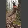 Daniel Lee Milam - @danielleemilam - TikTok