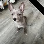 Meagan Danielle Milam - @findingmeaself - Instagram