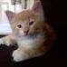 Dani Milburn - Facebook