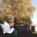 Danielle Mily - Facebook