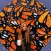 Lexey Danielle Milstead - Facebook
