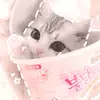 ٭♡ 𝙼𝚒𝚗𝚊 ♡٭ - @mina_25danielle_mar - TikTok