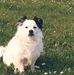 Daniela Mazzoni - Facebook