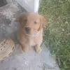 Mostdeff Danielle - @mostdeff.danielle - TikTok