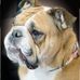 Danielle Musselman - Facebook