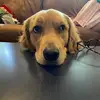 Danielle Nadeau - @daniellejnadeau - TikTok